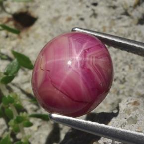 7.6ct Oval Cabochon Purplish Red Star Ruby for sale thumb image of 7.6ct Oval Cabochon Purplish Red Star Ruby (ID: 468606)