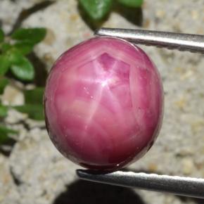 5.8ct Oval Cabochon Purplish Red Star Ruby for sale thumb image of 5.8ct Oval Cabochon Purplish Red Star Ruby (ID: 473588)