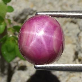 5.8ct Oval Cabochon Purplish Red Star Ruby for sale thumb image of 5.8ct Oval Cabochon Purplish Red Star Ruby (ID: 473591)