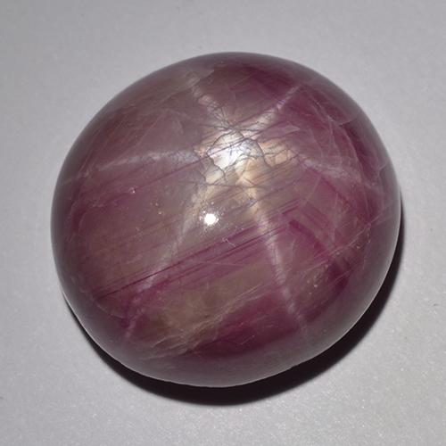 Star Ruby Gemstone in 17.8 x 17 mm Size for Sale, Star Ruby Stone in Reddish Purple Color