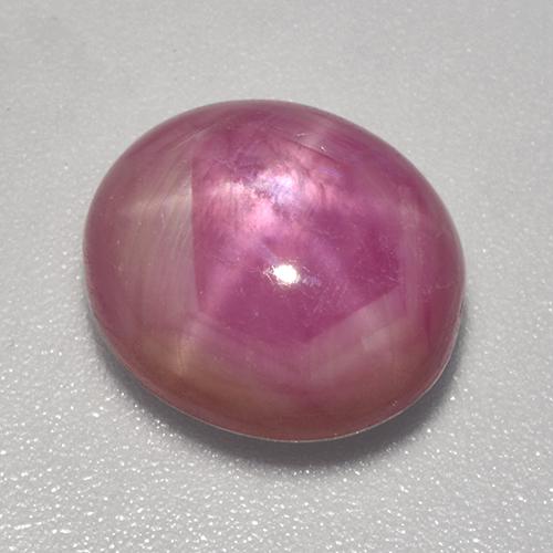Medium Pink Sternrubin Edelstein - 7.6ct Oval Cabochon (ID: 520675)
