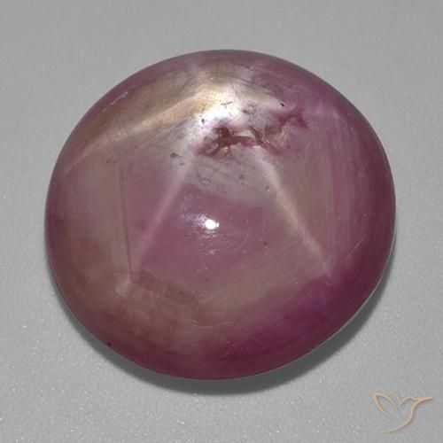 Rubis Étoilé Violet oval cabochon 20,7 x 19,5mm de Madagascar, poids de 31,8 ct, pierre gemme naturelle Fractures remplies de pureté Opaque , 1 pièce Rubis Étoilé, couleur : Pourpre moyen-léger, dureté de Mohs de 9 convient aux bijoux de tous les jours, pierre de sagesse, Photo A