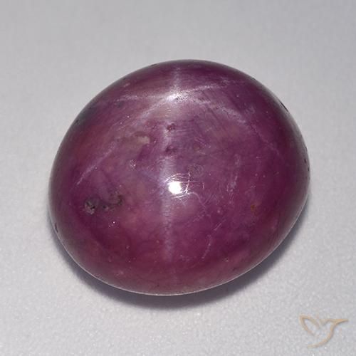 14.2 ct Oval Star Ruby, 14.3 x 12.8 mm From Madagascar, Photo A
