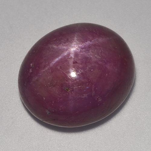Púrpura oscuro medio Rubí Estrella Gema - 19.8ct Cabujón Óvalo (ID: 522081)
