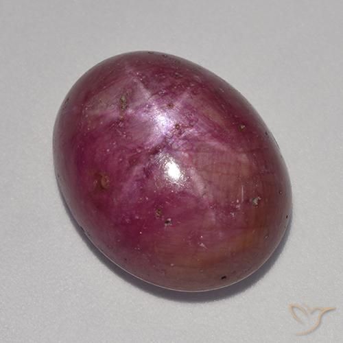 14.18 ct Oval Star Ruby, 15.5 x 12.4 mm From Madagascar, Photo A