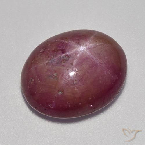 9.53ct Natural Plum Purple Star Ruby, Oval, Opaque