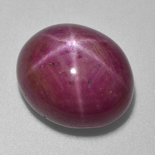 Púrpura rojizo Rubí Estrella Gema - 23.5ct Cabujón Óvalo (ID: 522240)