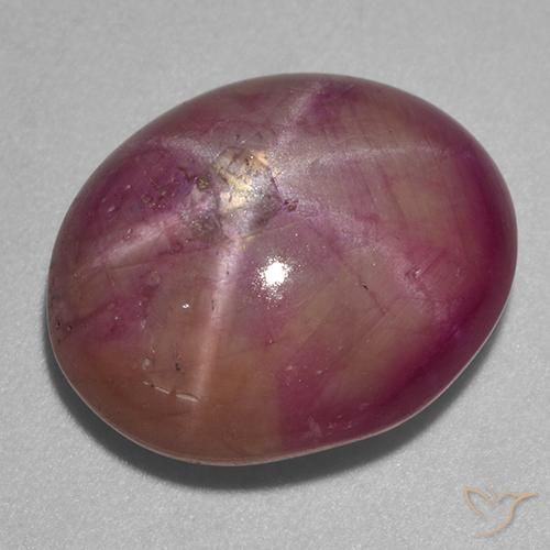 Rubis étoilé ovale de 13,67 ct, 16,2 x 13,3 mm de Madagascar, Photo A