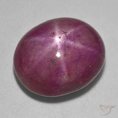 Rubino stellato 14,6 x 12,3mm viola Ovale cabochon dal Madagascar, peso di 14,31 ct, gemma naturale Riscaldato in purezza Opaque, 1 pezzo Rubino stellato - Colore: Viola rossastro medio-scuro, durezza Mohs di 9 adatto per gioielli da indossare ogni giorno, Photo A