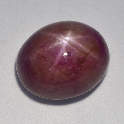 Plum Purple Star Ruby Gem - 16.4ct Oval Cabochon (ID: 523125)