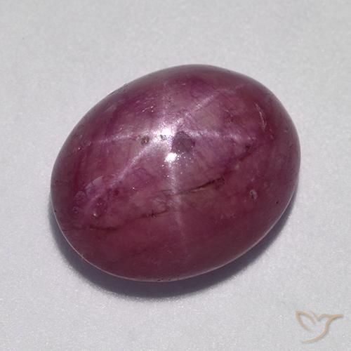 10.57ct Natural Medium-Dark Purple Star Ruby, Oval, Opaque