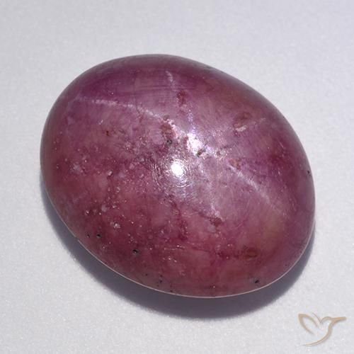 Rubino stellato Ovale cabochon da 12,56 ct dal Madagascar, dimensione 15,3 x 12,4mm, purezza Opaque, pietra preziosa naturale Riscaldato, Rubino stellato 1pc in colore Viola medio-scuro, durezza Mohs di 9 adatto per gioielli da indossare ogni giorno, Photo A