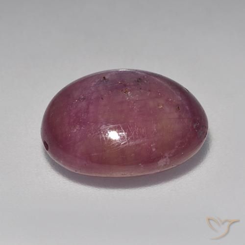 Star Ruby Gemstone in 12 x 10 mm (calibrated) Size for Sale, Star Ruby Stone in Reddish Purple Color