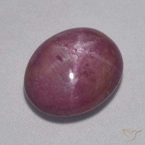 8.30ct Natural Medium-Dark Purple Star Ruby, Oval, Opaque