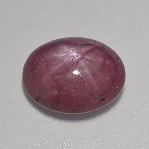 Reddish Purple Star Ruby Gem - 5.3ct Oval Cabochon (ID: 525655)
