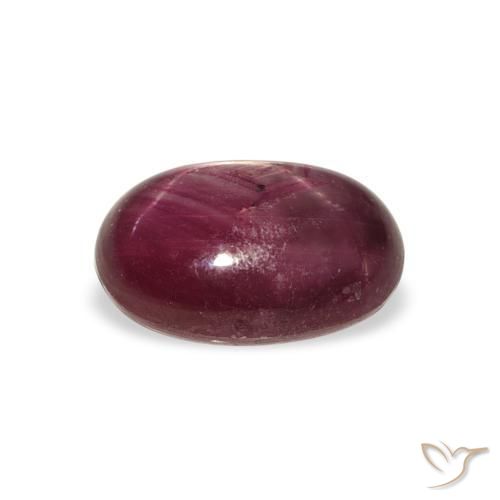 Star Ruby Gemstone in 10.8 x 7.6 mm Size for Sale, Star Ruby Stone in Medium Dark Reddish-Purple Color