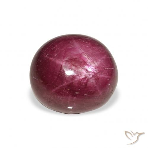 9.87ct Natural Medium Dark-Purple Star Ruby, Oval, Opaque, Photo A