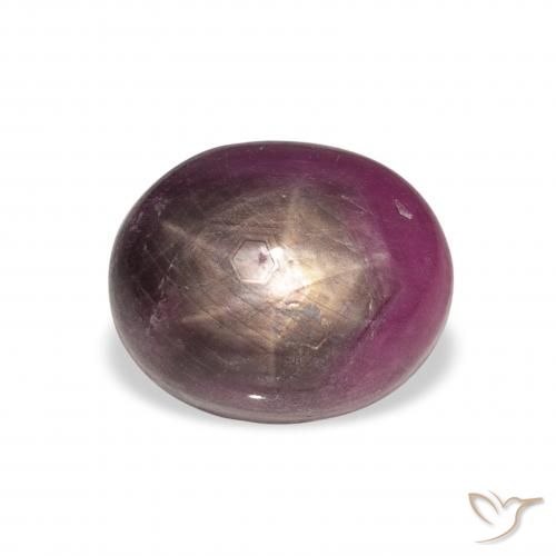 9.04ct Natural Reddish Purple Star Ruby, Oval, Opaque