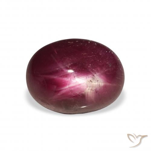 6.34ct Natural Dark Red Star Ruby, Oval, Opaque