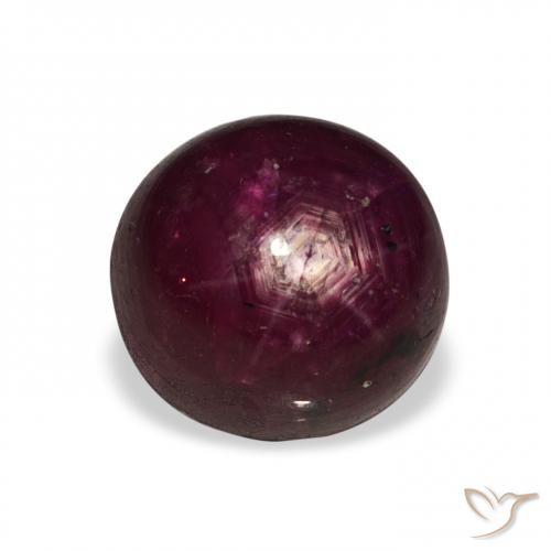 6.02ct Natural Dark Red Star Ruby, Round, Opaque