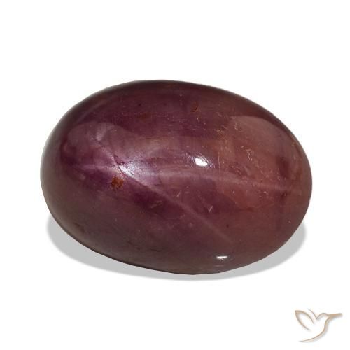 15.06 ct Purple Star Ruby Stone, Natural Star Ruby in Oval Cabochon Shape for Sale