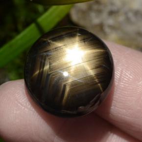 30.49 ct Black Star Sapphire Gemstone, Star Sapphire Gem in Oval Cabochon Shape for Sale.