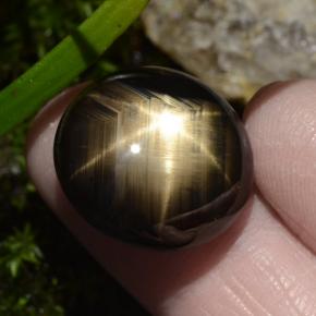 Star Sapphire Gemstone in 18.9 x 17.4 mm Size for Sale, Star Sapphire Stone in Black Color