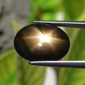 Star Sapphire Gemstone in 14.7 x 11.6 mm Size for Sale, Star Sapphire Stone in Black Color