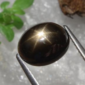 Star Sapphire Gemstone in 10 x 8 mm (calibrated) Size for Sale, Star Sapphire Stone in Black Color