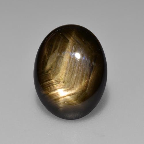 Black Star Sapphire Gem - 3.1ct Oval Cabochon (ID: 470376)