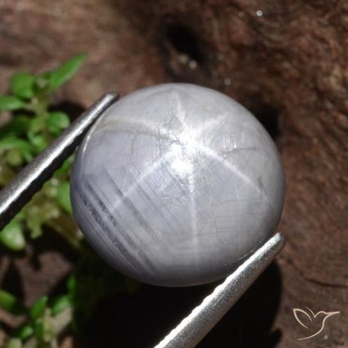 Best Star Sapphire for a Pendant | Large Size, Strong Star Effect