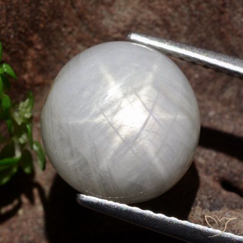 8.80ct Natural Very Light Grey Star Sapphire, Round, Opaque