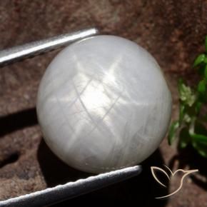 8.80 ct Gray Star Sapphire Stone, Natural Star Sapphire in Round Cabochon Shape for Sale