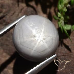 6.61 ct Gray Star Sapphire Stone, Natural Star Sapphire in Oval Cabochon Shape for Sale