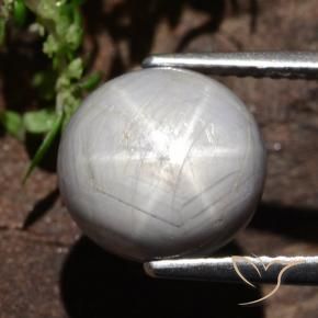 Star Sapphire Gemstone in 10 x 10 mm (calibrated) Size for Sale, Star Sapphire Stone in Medium-Dark Grey Color
