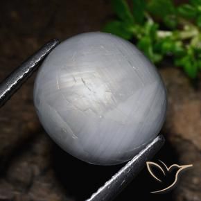 14.39 ct Gray Star Sapphire Stone, Natural Star Sapphire in Oval Cabochon Shape for Sale