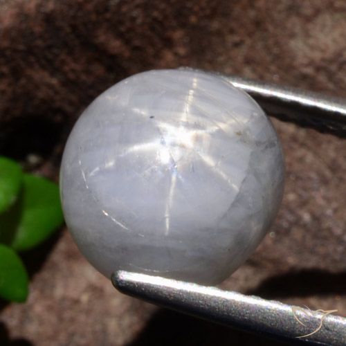 Zafiro gris 2025
