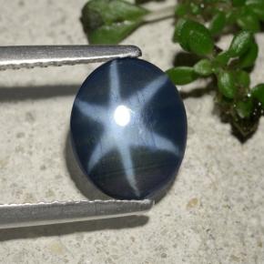 1.3ct Oval Cabochon Blue Star Sapphire Gem for sale 1.3ct Oval Cabochon Blue Star Sapphire Gem (ID: 478741)