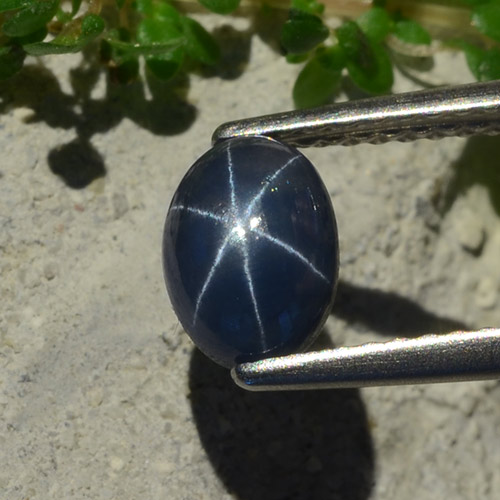 Blue Star Sapphire 1.5 Carat Oval from Thailand Gemstone