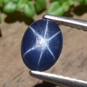 Navy Blue Star Sapphire Gem - 1.4ct Oval Cabochon (ID: 483699)