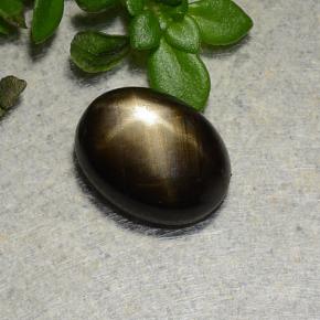 1.8ct Oval Cabochon Black Star Sapphire for sale thumb image of 1.8ct Oval Cabochon Black Star Sapphire (ID: 486767)