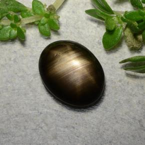 1.6ct Oval Cabochon Black Star Sapphire for sale thumb image of 1.6ct Oval Cabochon Black Star Sapphire (ID: 486769)