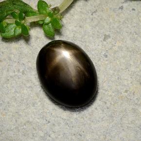 1.6ct Oval Cabochon Black Star Sapphire for sale thumb image of 1.6ct Oval Cabochon Black Star Sapphire (ID: 486770)