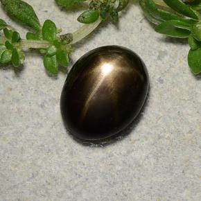 1.7ct Oval Cabochon Black Star Sapphire Gem for sale 1.7ct Oval Cabochon Black Star Sapphire Gem (ID: 486772)