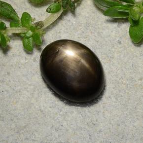 1.5ct Oval Cabochon Black Star Sapphire for sale thumb image of 1.5ct Oval Cabochon Black Star Sapphire (ID: 486773)