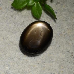 1.3ct Oval Cabochon Black Star Sapphire for sale thumb image of 1.3ct Oval Cabochon Black Star Sapphire (ID: 486775)