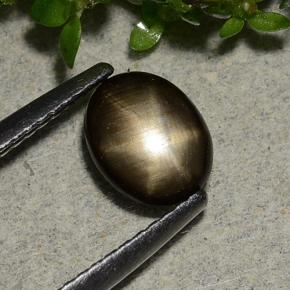1.15 ct Black Star Sapphire Stone, Natural Star Sapphire in Oval Cabochon Shape for Sale
