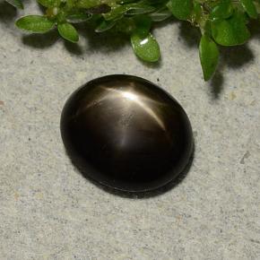 1.8ct Oval Cabochon Black Star Sapphire for sale thumb image of 1.8ct Oval Cabochon Black Star Sapphire (ID: 486777)