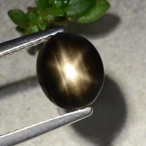 Schwarz Sternsaphir Edelstein - 2ct Oval Cabochon (ID: 486806)