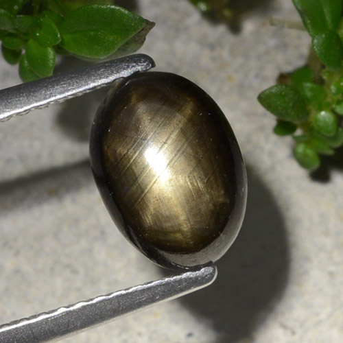 Black Star Sapphire Gem - 2.2ct Oval Cabochon (ID: 486807)